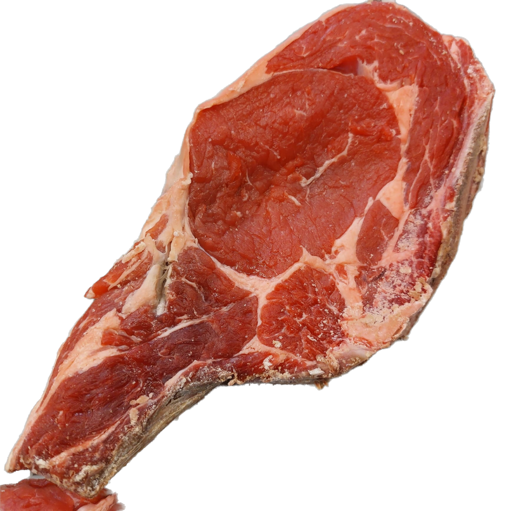 Costata